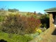 14 Brumbys Road, Sunnyside TAS 7305