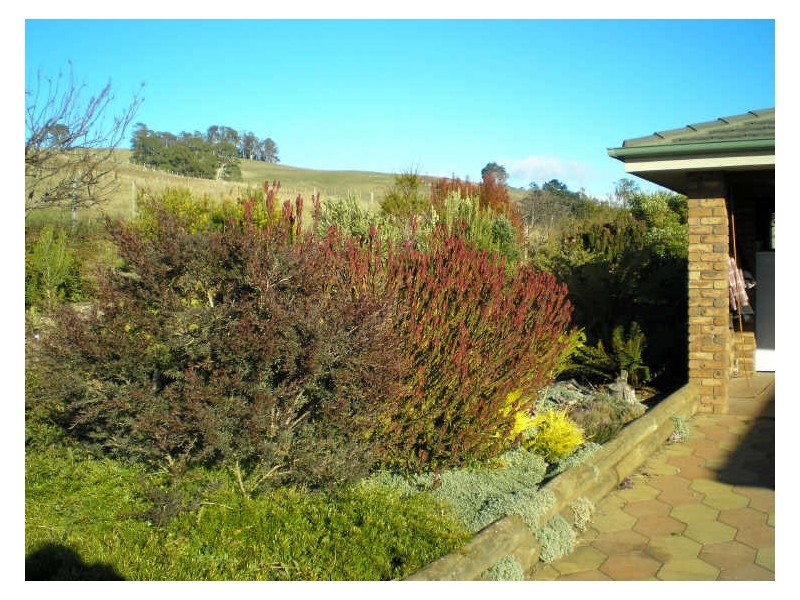14 Brumbys Road, Sunnyside TAS 7305