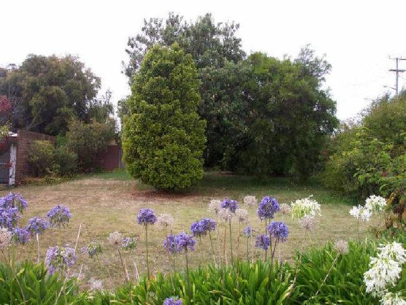 25 Hope Street, Abbotsham TAS 7315