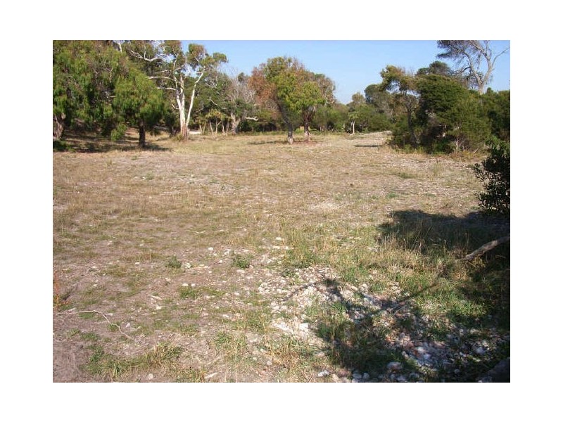 1 Beach Street, Leith TAS 7315