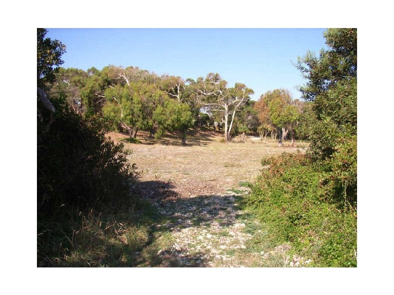 1 Beach Street, Leith TAS 7315