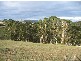 303 Paradise Road, Paradise TAS 7306