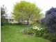 1468 Sheffield Main Road, Barrington TAS 7306