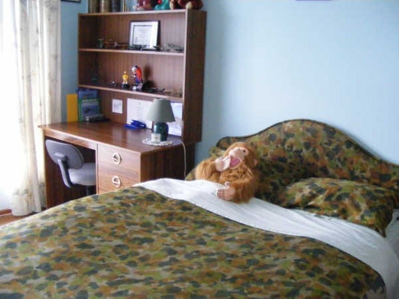 353 Beulah Road, Beulah TAS 7306