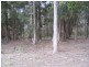 353 Beulah Road, Beulah TAS 7306
