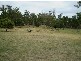 Lot 2 Victor Street North, Latrobe TAS 7307