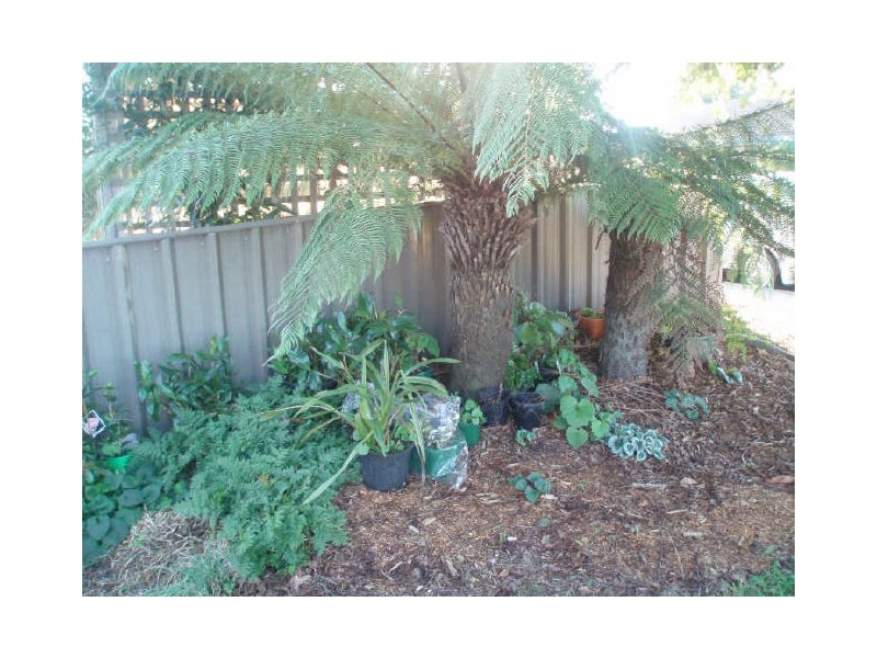 49 Hearps Road, Ulverstone TAS 7315