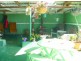 62 South Nietta Road, Nietta TAS 7315