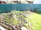62 South Nietta Road, Nietta TAS 7315