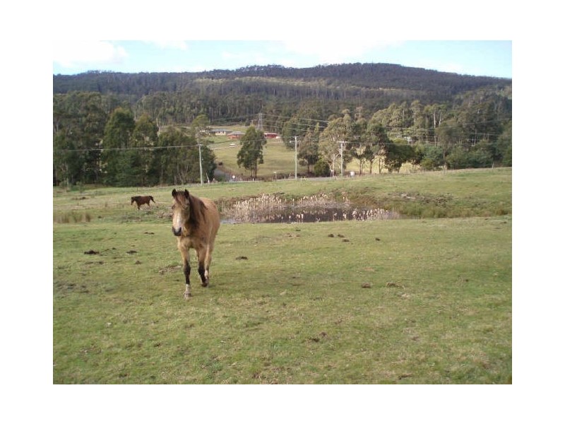 12 Brookland Avenue, Acacia Hills TAS 7306