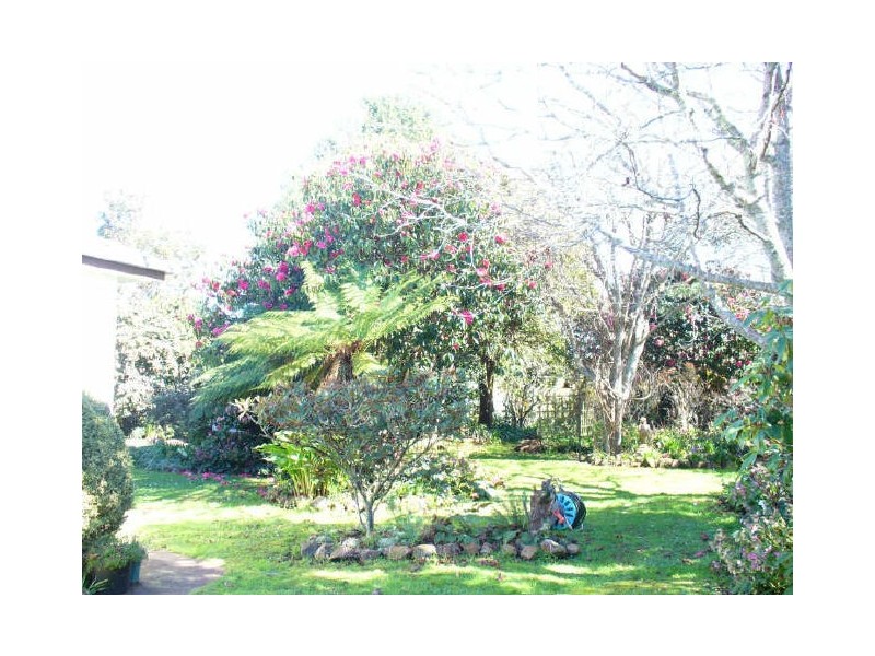 62 Barrington Road, Barrington TAS 7306