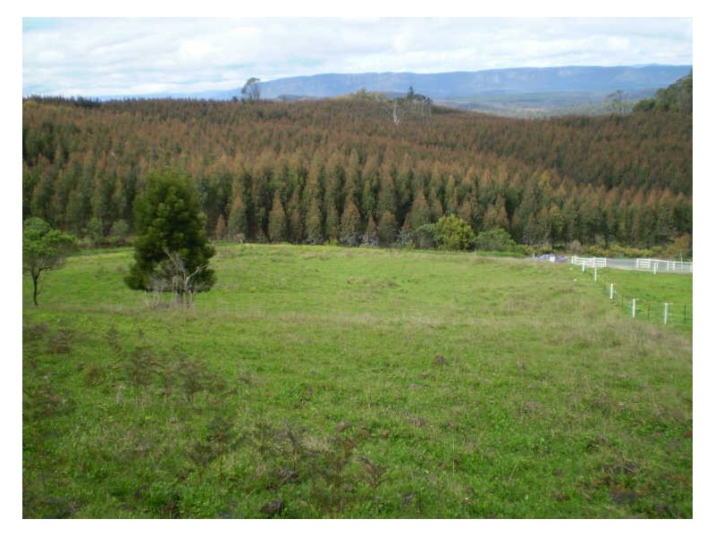 Stoodley Road, Stoodley TAS 7306