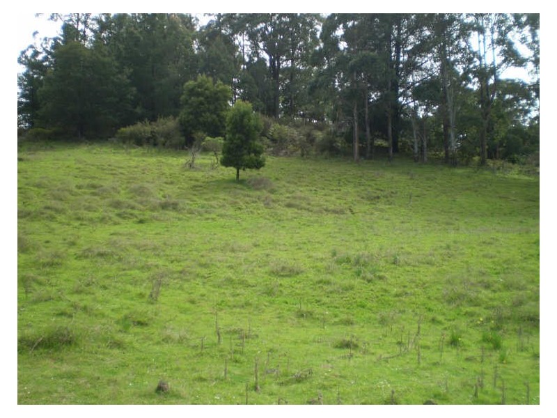 Stoodley Road, Stoodley TAS 7306