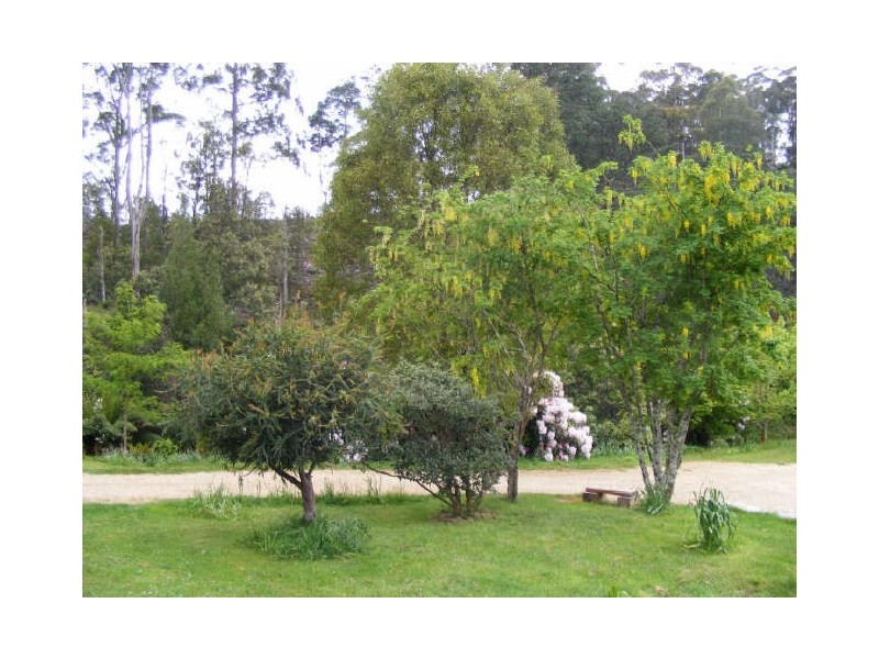 119 Masons Road, Wilmot TAS 7310