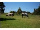 125 Sheffield Main Road, Spreyton TAS 7310
