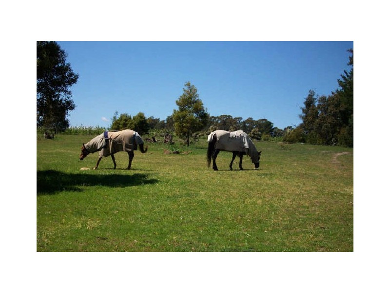 125 Sheffield Main Road, Spreyton TAS 7310
