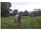 125 Sheffield Main Road, Spreyton TAS 7310