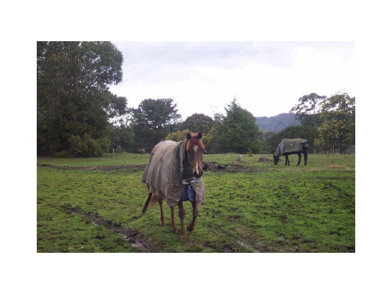 125 Sheffield Main Road, Spreyton TAS 7310
