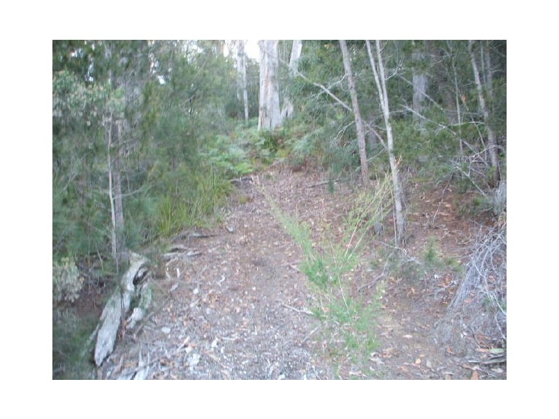 Lot 7 Castle Drive, Spreyton TAS 7310