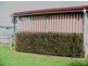 26 McBride Street, Devonport TAS 7310
