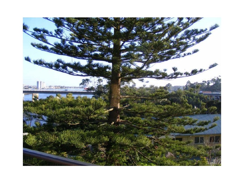 5 Enderly Court, Ambleside TAS 7310