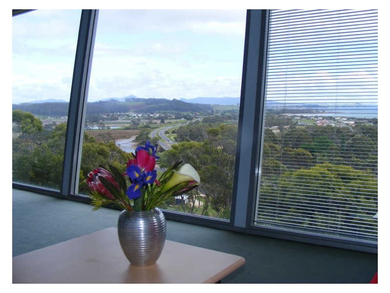 28 Braddons Lookout Road, Leith TAS 7315