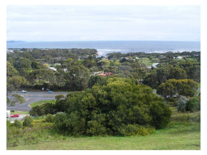 28 Braddons Lookout Road, Leith TAS 7315