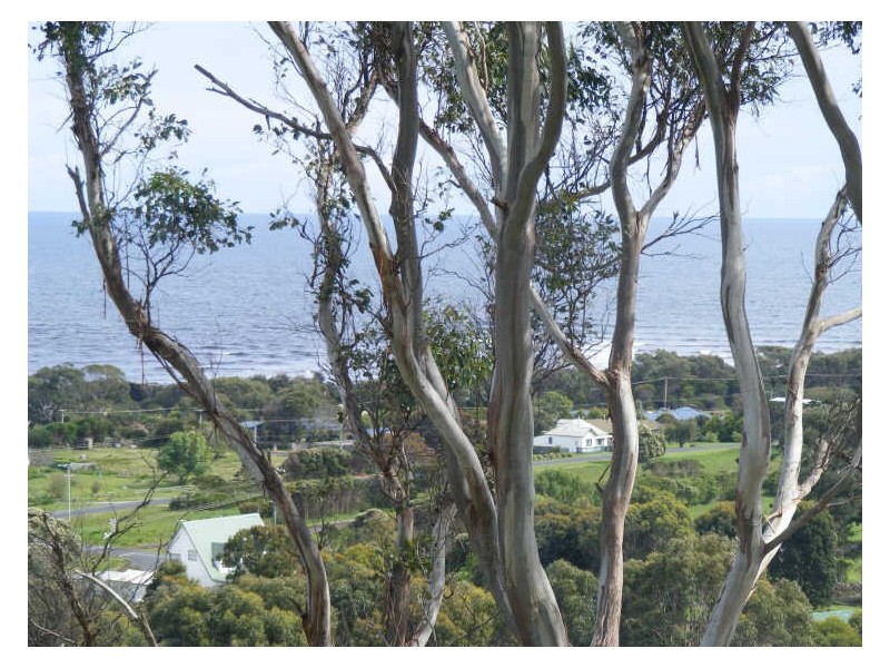 28 Braddons Lookout Road, Leith TAS 7315