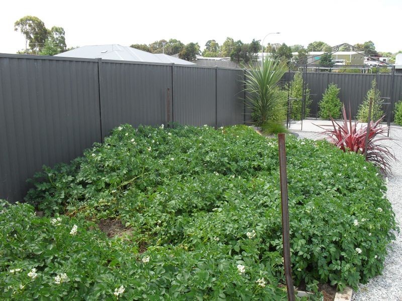 3 Allison Court, Devonport TAS 7310
