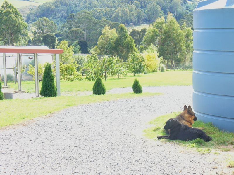 7 & 9 Deacons Close, Claude Road TAS 7306
