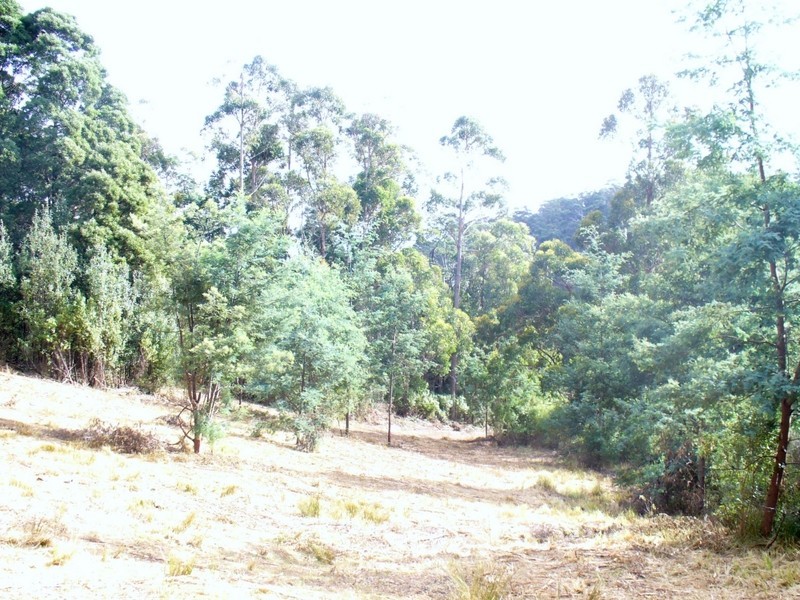 Foleys Road, Claude Road TAS 7306