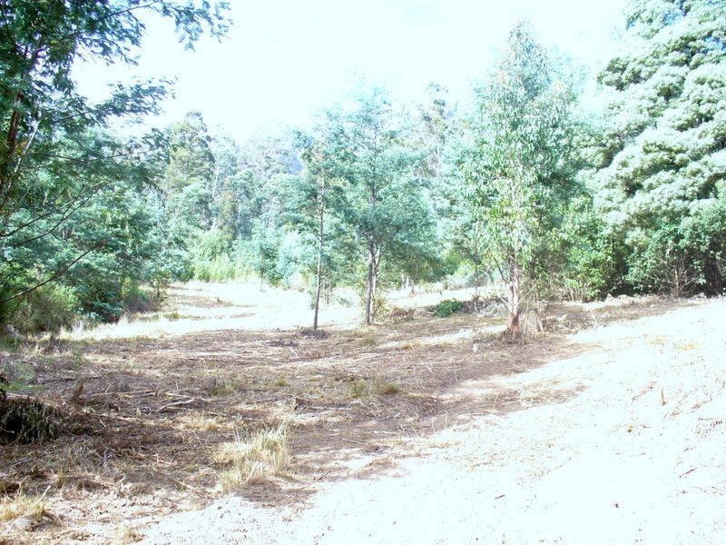 Foleys Road, Claude Road TAS 7306