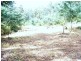 Foleys Road, Claude Road TAS 7306