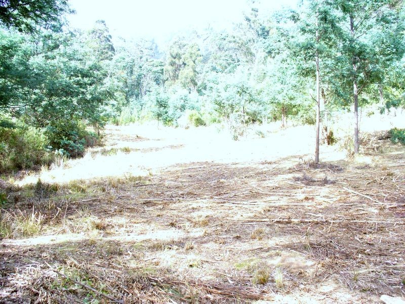 Foleys Road, Claude Road TAS 7306