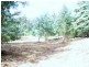 Foleys Road, Claude Road TAS 7306