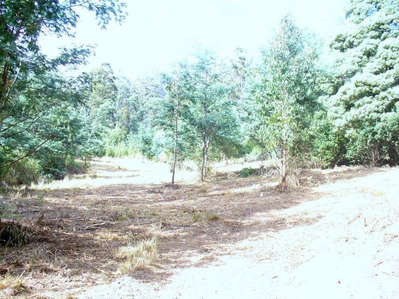 Foleys Road, Claude Road TAS 7306