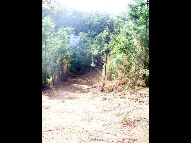Foleys Road, Claude Road TAS 7306