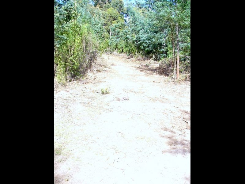 Foleys Road, Claude Road TAS 7306