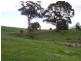 Lot 9 Brooks Road, Lower Barrington TAS 7306