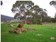 Lot 9 Brooks Road, Lower Barrington TAS 7306