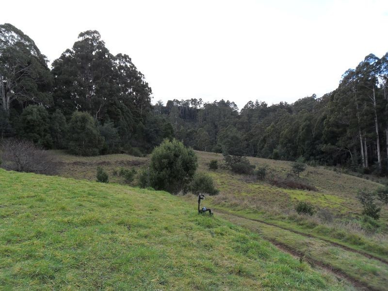 327 Lake Barrington Road, Wilmot TAS 7310
