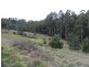 327 Lake Barrington Road, Wilmot TAS 7310