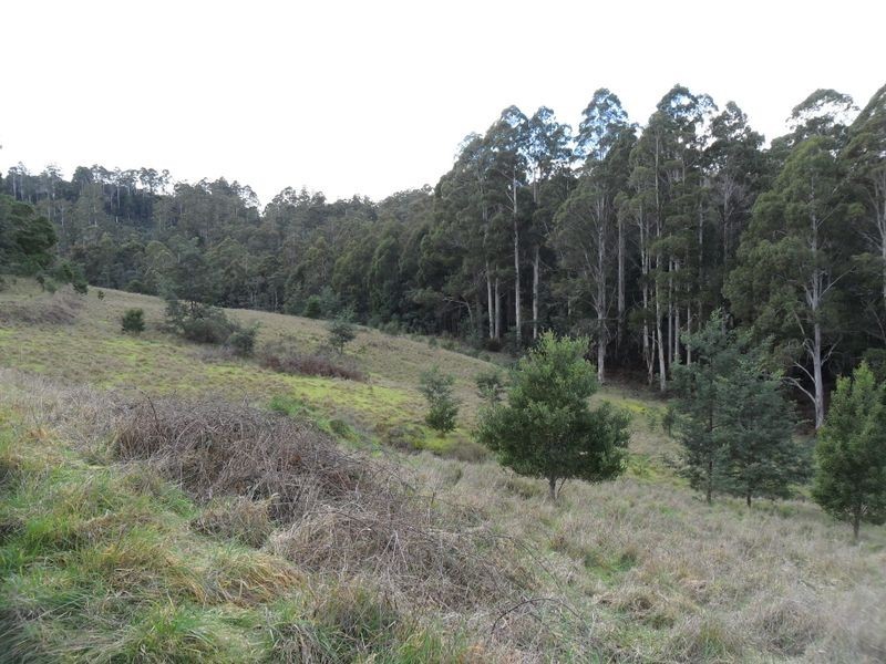 327 Lake Barrington Road, Wilmot TAS 7310