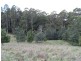 327 Lake Barrington Road, Wilmot TAS 7310