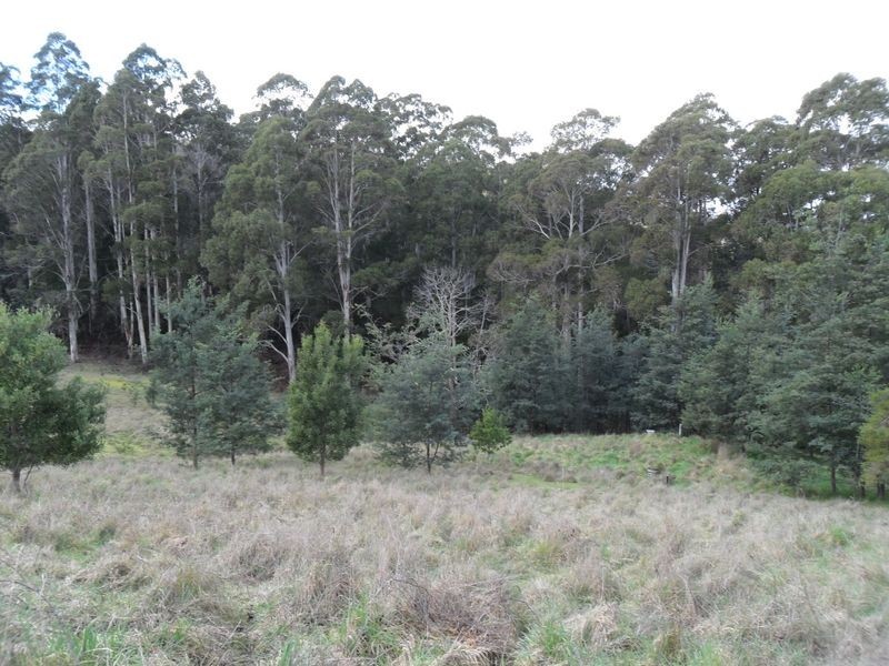 327 Lake Barrington Road, Wilmot TAS 7310