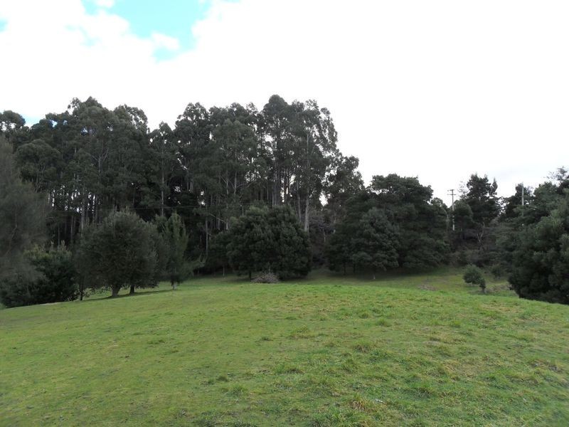327 Lake Barrington Road, Wilmot TAS 7310