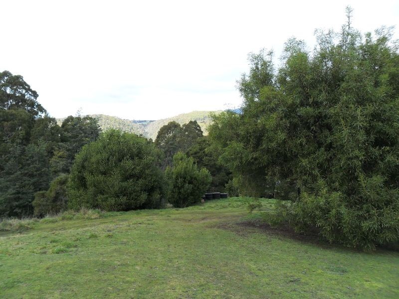 327 Lake Barrington Road, Wilmot TAS 7310