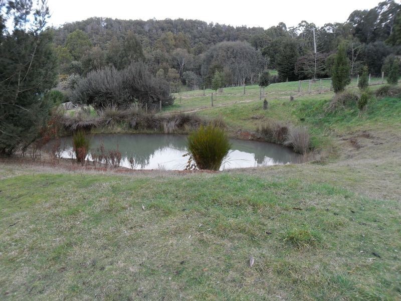 327 Lake Barrington Road, Wilmot TAS 7310