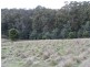327 Lake Barrington Road, Wilmot TAS 7310
