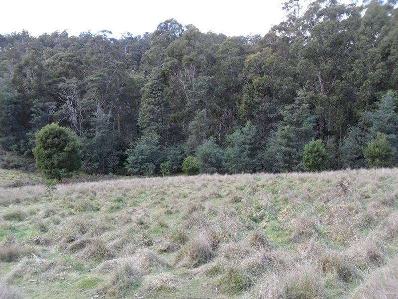 327 Lake Barrington Road, Wilmot TAS 7310